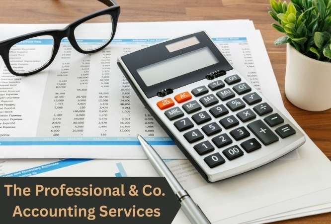 Professional Accounting Services in Surat - The Professional & Co.