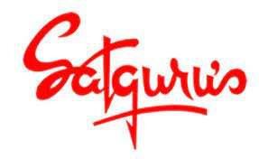 Satgurus - the Premier Destination for Art and Home Decor