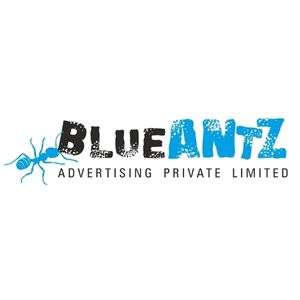 Blueantz Advertising Private Limited | Creative Digital Marketing Agency in Kolkata