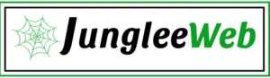 Jungleeweb | Top Digital Marketing & Development Company in Delhi NCR