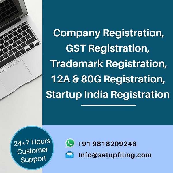 Setupfilings.com - Your One-Stop Solution for Business Registration & Tax Consulting