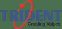 Trident Information Systems Pvt Ltd | Global Digital Transformation Consulting