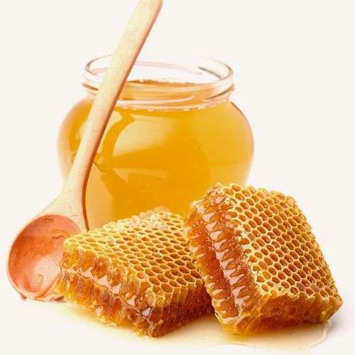 Buy Premium Raw and Organic Honey at WorldofHoney.com - Your One-Stop Honey Shop!
