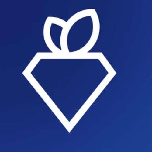 Rare Carat: Affordable Diamond Engagement Rings & Fine Jewelry