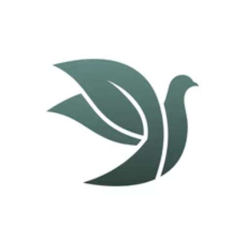 Buy Eco-Friendly Lab-Grown Diamond Jewelry | Friendly Diamonds