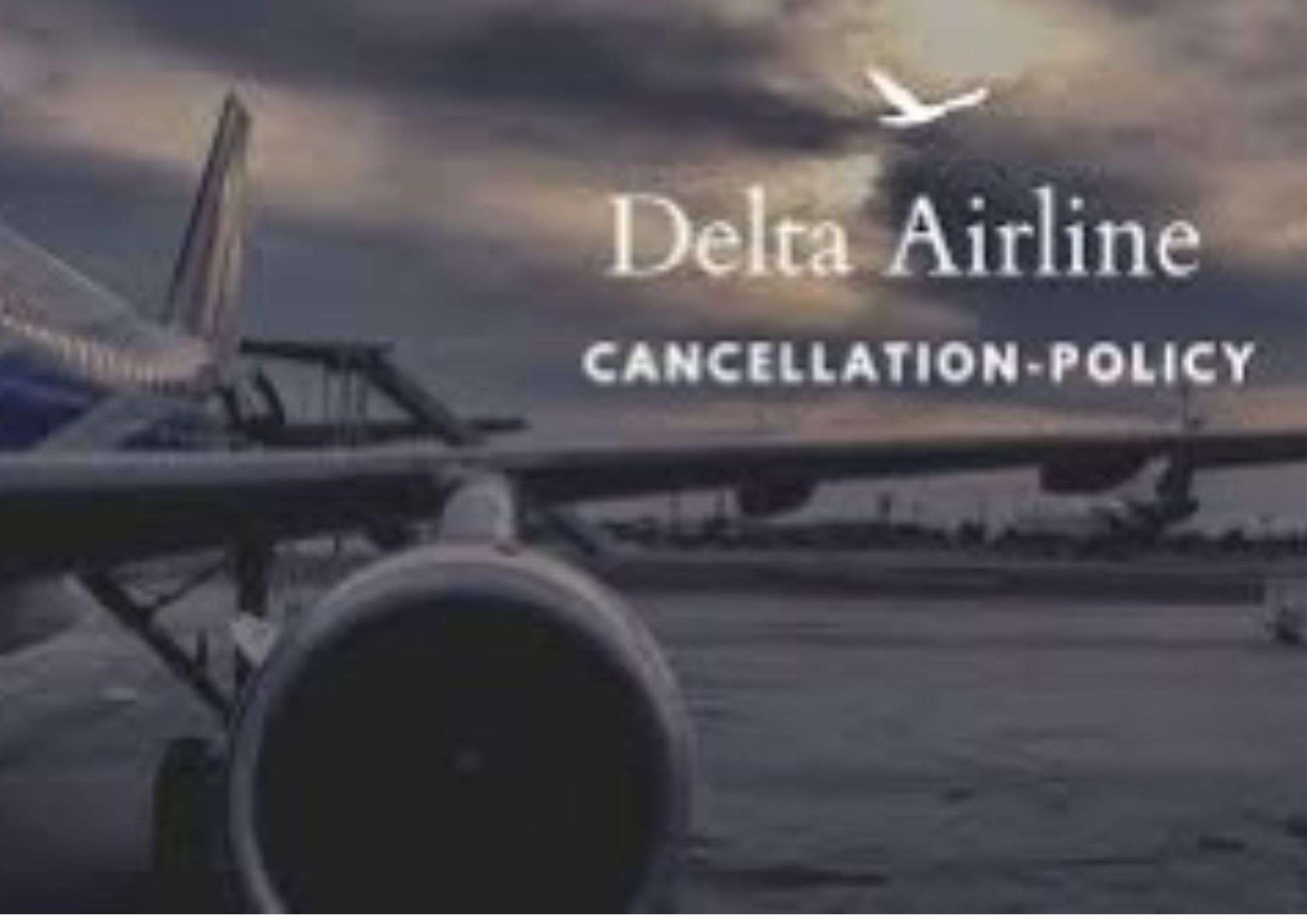 1800 Airticket - Book Your Next Flight with the Leading Online Travel Agency in USA