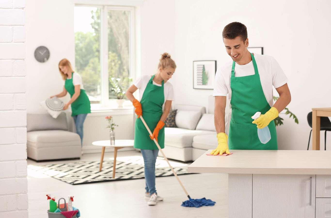 Nakoda Urban Services | Home Cleaning, Deep Cleaning & Pest Control Services