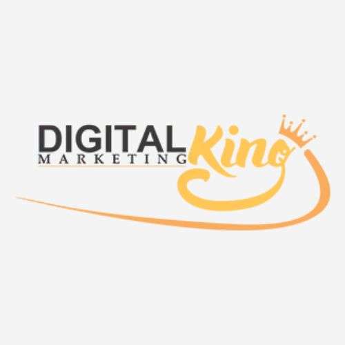 Digital Marketing King | Best Digital Marketing Agency in India for SEO & Google Promotion