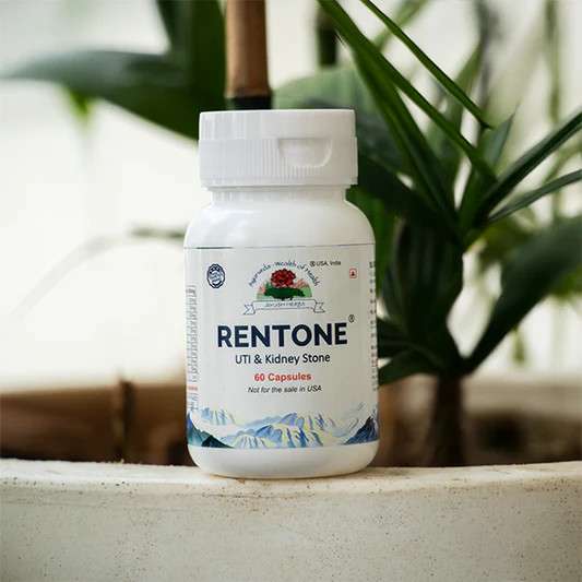 Ayush Herbs Inc Ayurvedic Medicine Company India and Herbal Products Manufacturer