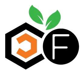 Digital Flavour Leading Digital Marketing Agency in India for SEO and Performance Marketing Experts