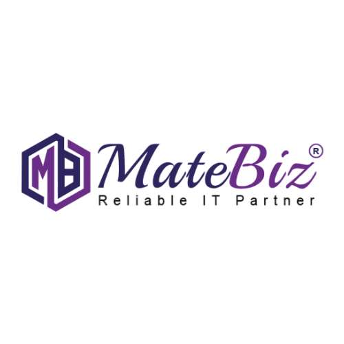 Matebiz Digital Marketing Agency India and Website Designing Company in India