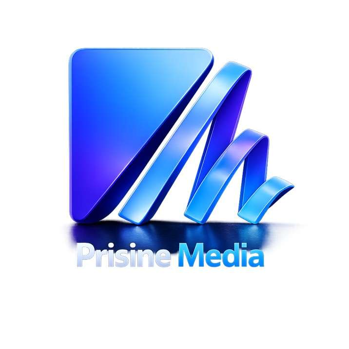 Prisine Media – Digital Marketing Agency in Noida | SEO, Google Ads & Web Development