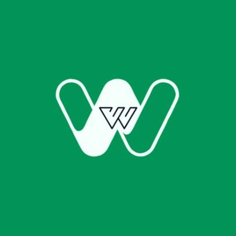 Best Digital marketing company in Delhi - WildWeb Digital