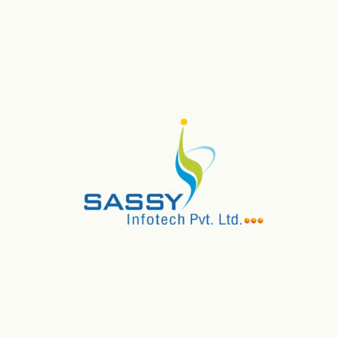 Sassy Infotech Pvt. Ltd. Delivering Professional Website Design Web Development and Digital Marketing Solutions