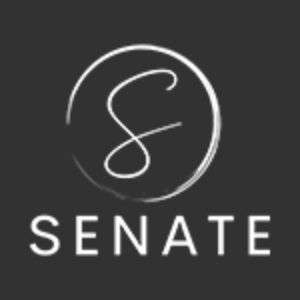 Senate Digital Marketing Agency SEO Services Social Media Marketing