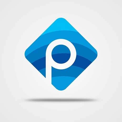 Picasso Multimedia Digital Marketing Agency Website Development Services