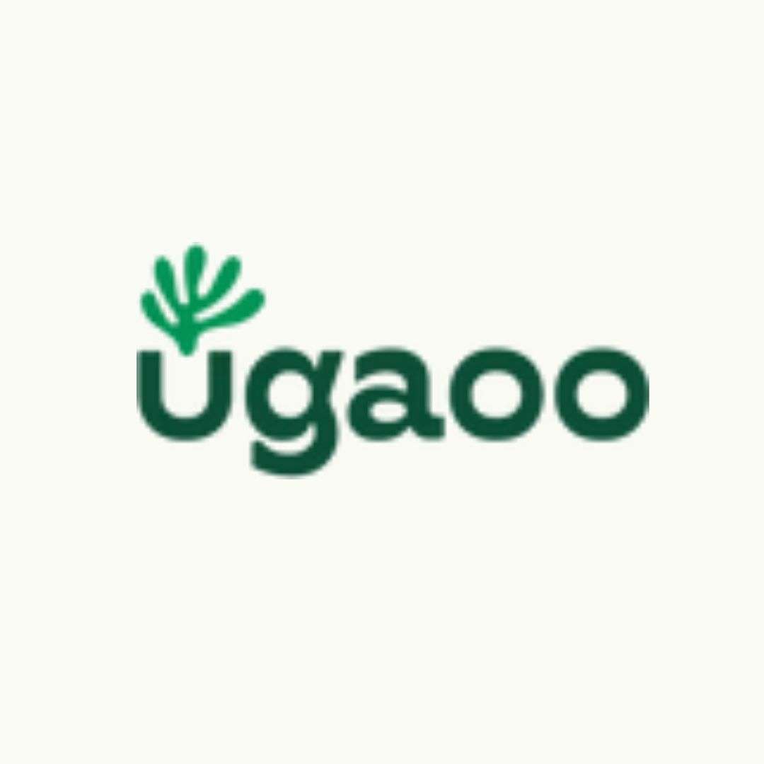 Bulk Corporate Gifting – Plants, Hampers & Kits | Ugaoo