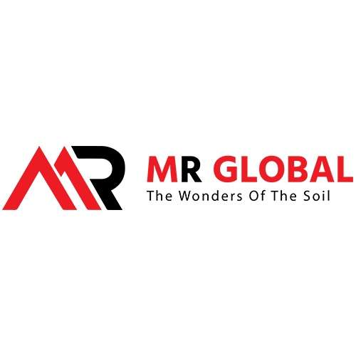M R Global Consultancy LLC | IT Consulting & Event Management Company UAE