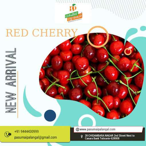 get-your-daily-dose-of-nature-with-pasumai-palangal-fresh-fruit-delivery-in-india-1 get-your-daily-dose-of-nature-with-pasumai-palangal-fresh-fruit-delivery-in-india-1